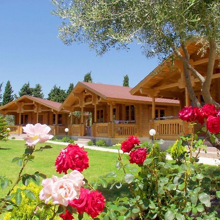 Sandy'S Studios Apartments & Log-Villas Kos Exteriör bild