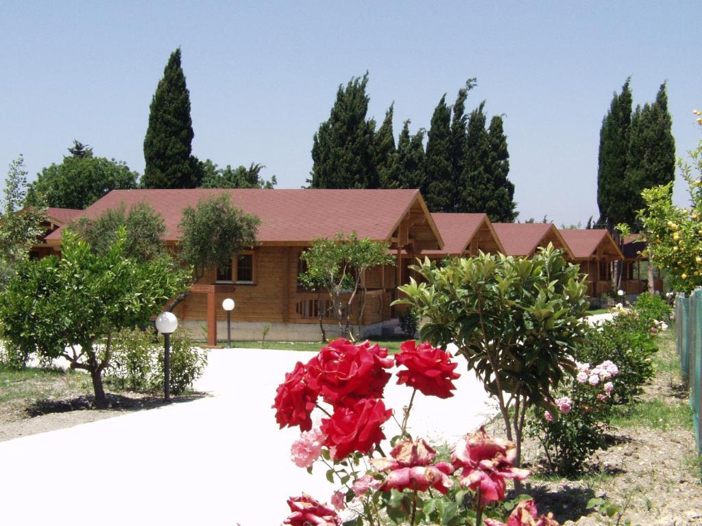 Sandy'S Studios Apartments & Log-Villas Kos Exteriör bild