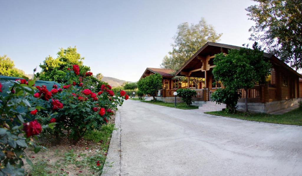 Sandy'S Studios Apartments & Log-Villas Kos Exteriör bild